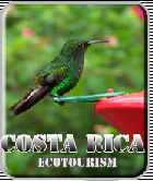 Costa Rica Packages 