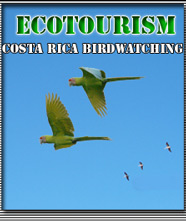 Costa Rica Ecotourism and Costa Rica Nature, Costa Rica Birdwatching Trip