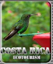 Costa Rica Eco tour and Costa Rica Nature