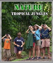 Costa Rica Ecotourism and Costa Rica Nature, Tropical Jungles