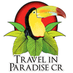 Vacations Travel in Paradise